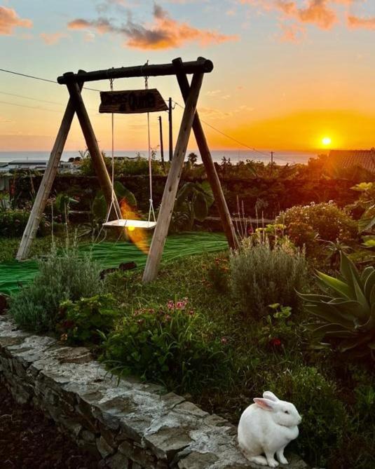 Casas Da Quinta Daire Santa Cruz das Flores Dış mekan fotoğraf